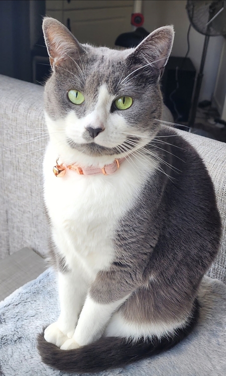 Lucy