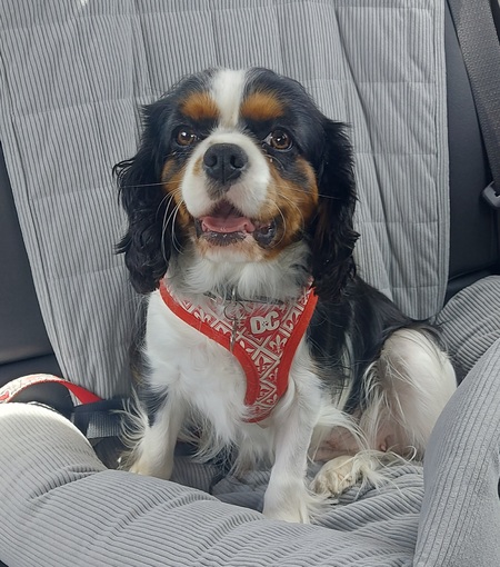 Maggie