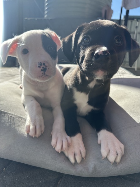 Pluto & Jupiter