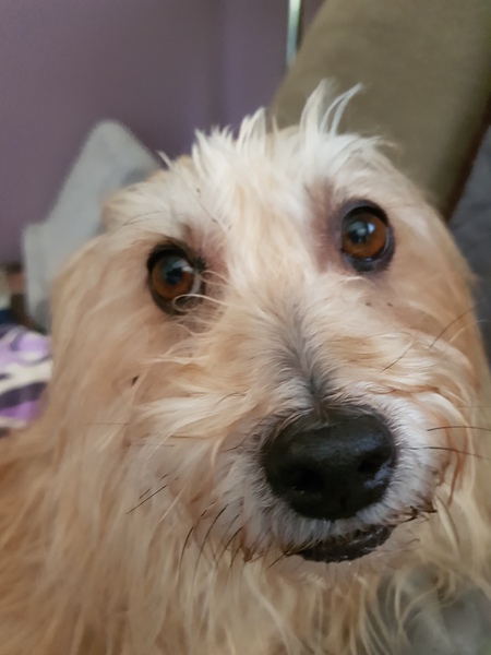 Buster