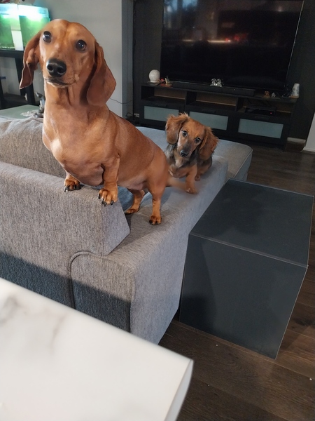 Tira and Tilly 