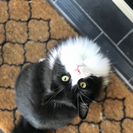 Max