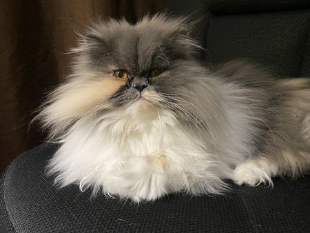 Kira