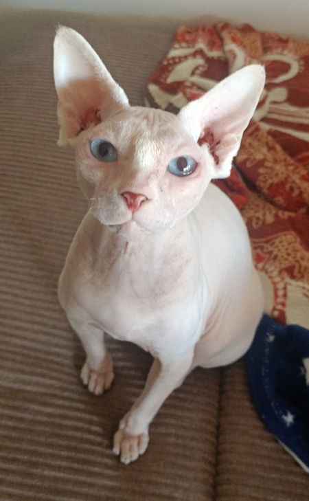 Leroy