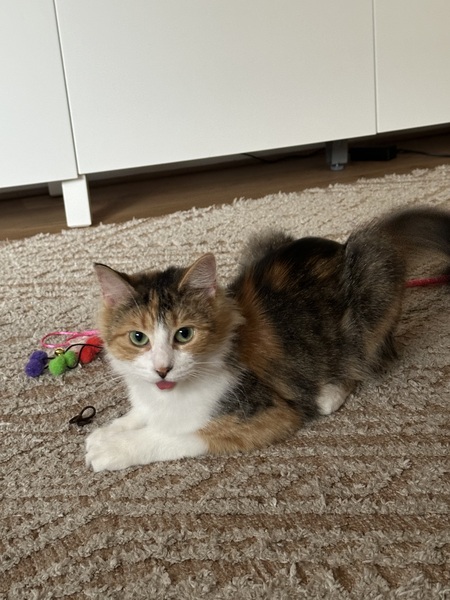 Mika