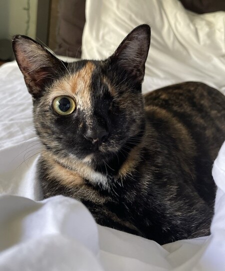 Peanut