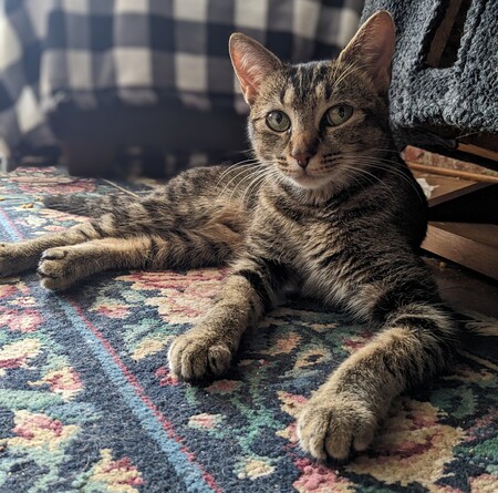 Gimli