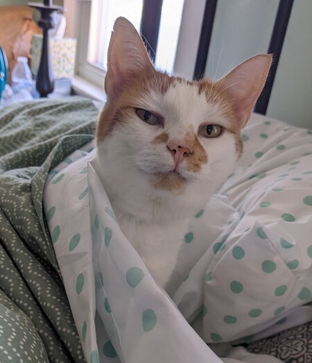 Ginny