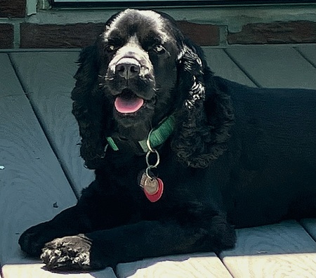 Matilda