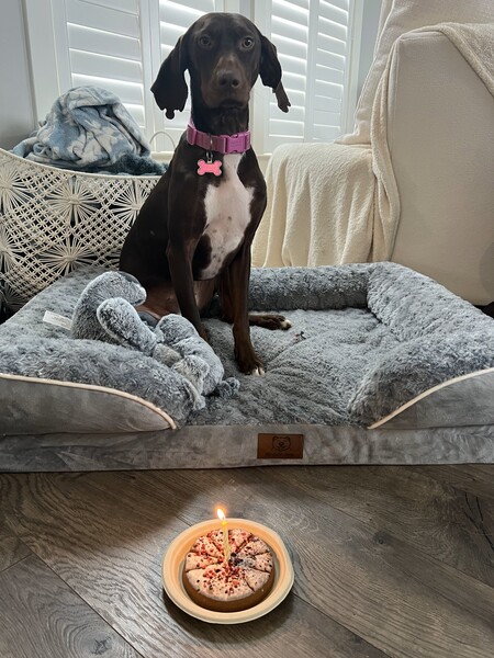 Gracie
