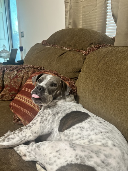 Sadie