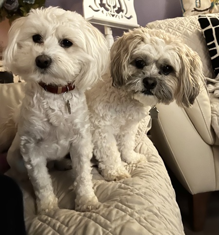 Reggie & Joey