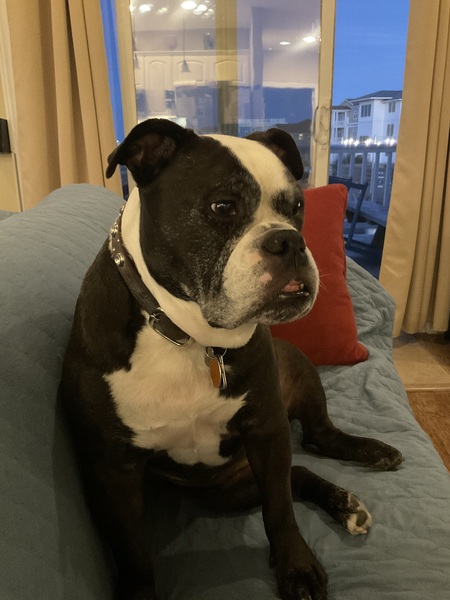 Millie