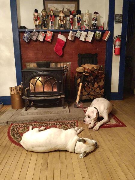 Jazzy and Ace