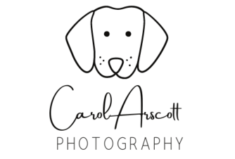 https://www.carolarscott.com/