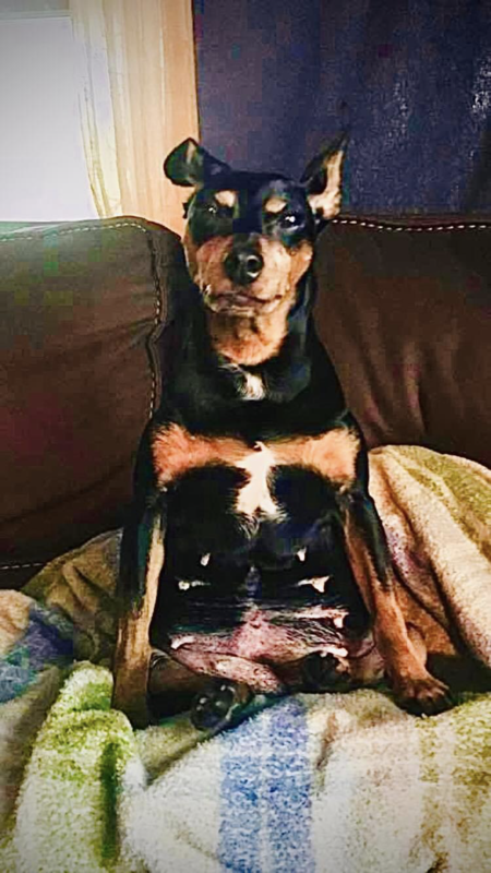 Betty Boo