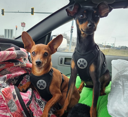 Reed & Scrappy