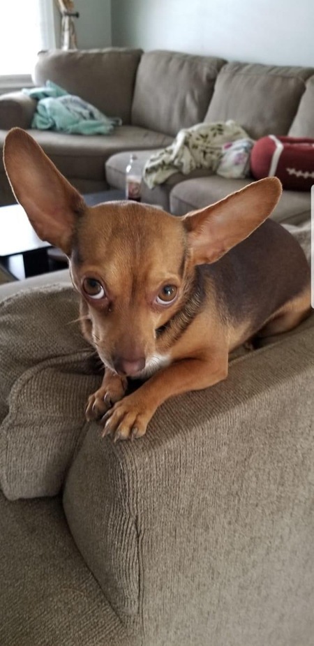 Minnie