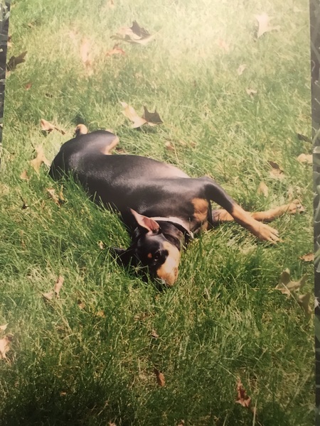 Bella