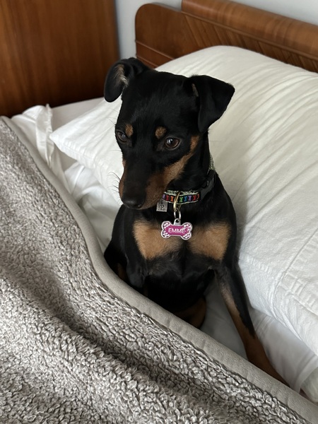 Emme