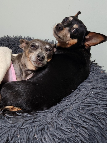 Bella & Fergie 