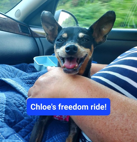 Chloe
