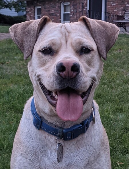 Floki