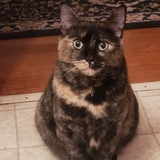 Entry image for Bella (fka Aloe)