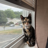 Entry image for Kallie 