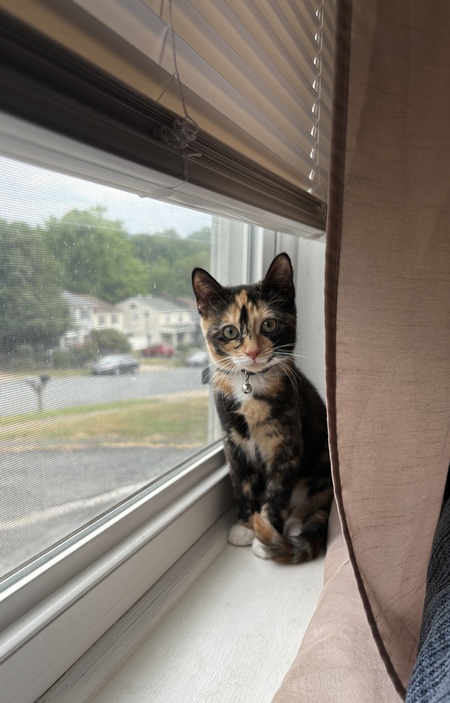 Entry image for Kallie . Clicking this image will show a larger photo