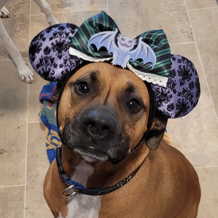 Entry image for Zero. Clicking this image will show a larger photo