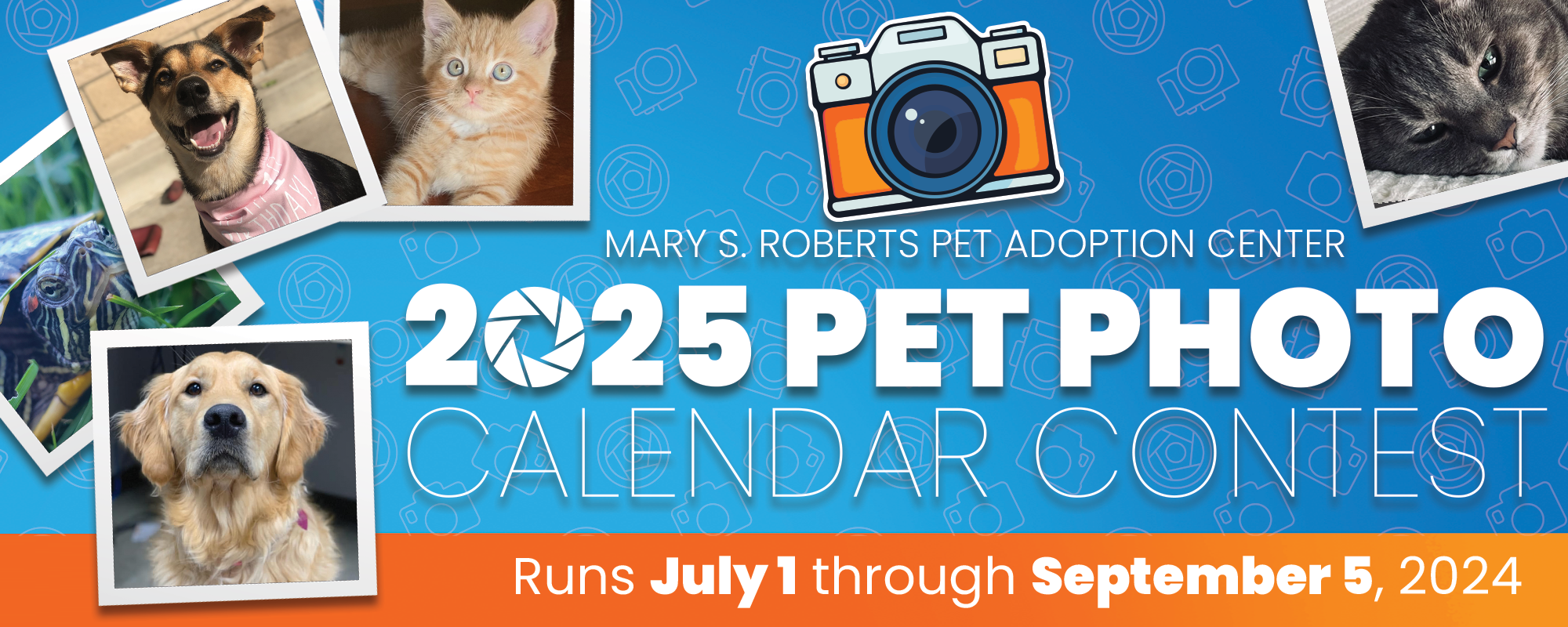 Baycare Photo Calendar Contest 2025