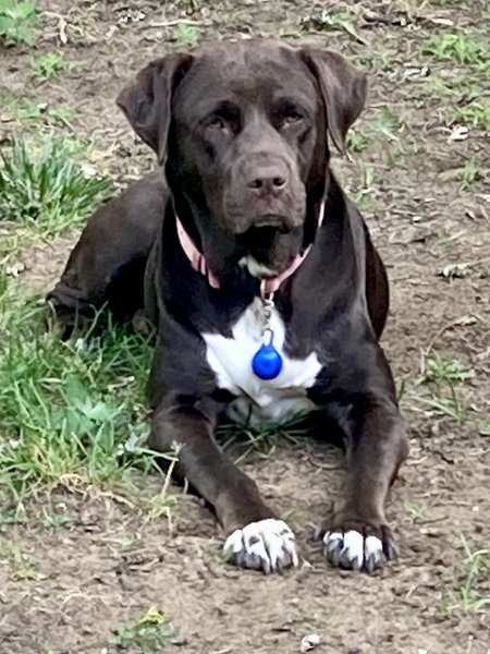 Ella