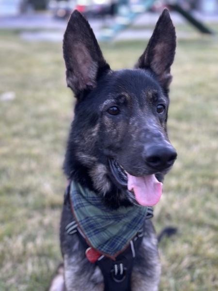 Ryder