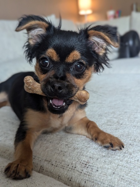 Lupita
