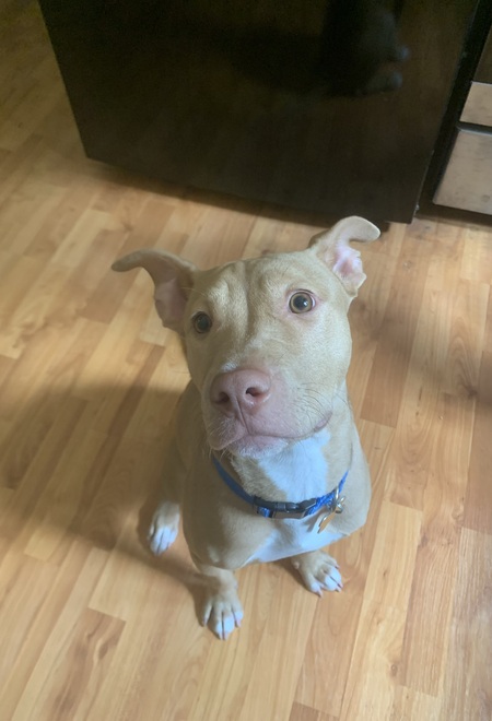Oakley 