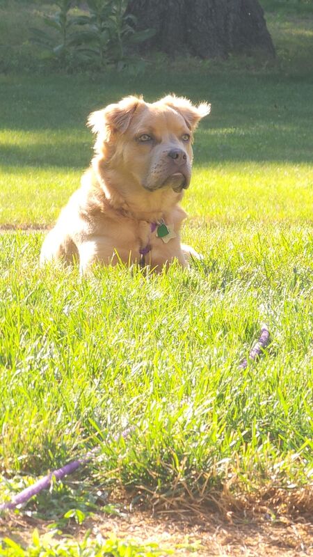 Ethel