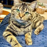 Entry image for Angela