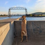 Entry image for Ridley