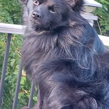 Entry image for Theodore 