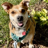 Entry image for Kira