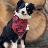 Entry image for Clara