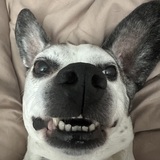 Entry image for Gunther