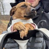 Entry image for Weenie