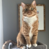 Entry image for Milo