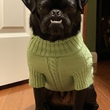 Entry image for Hooli