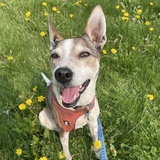 Entry image for Ella