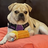 Entry image for Dakota 