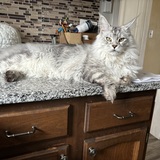 Entry image for Fred