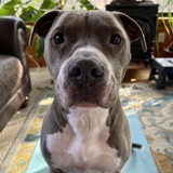 Entry image for Clark W. Griswold 